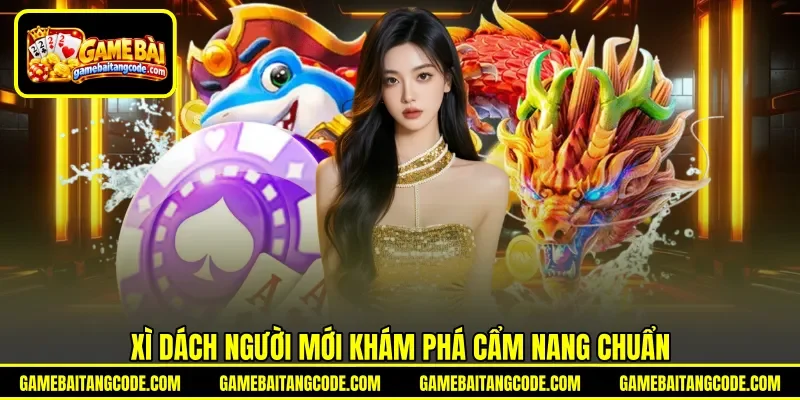 Xì dách người mới khám phá cẩm nang chuẩn
